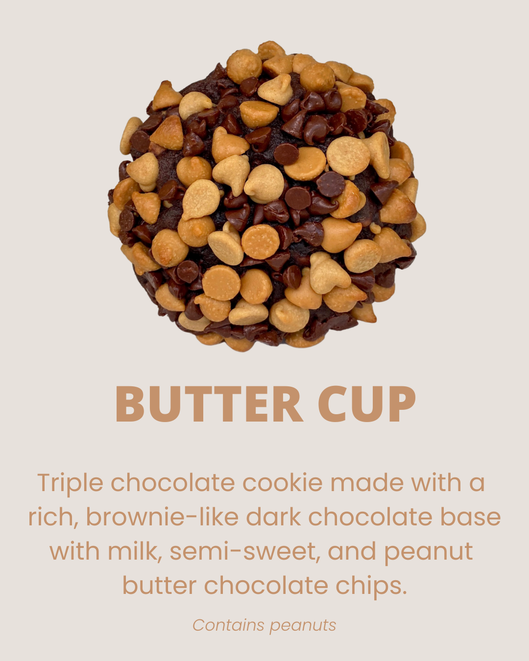 peanut butter chocolate cookie