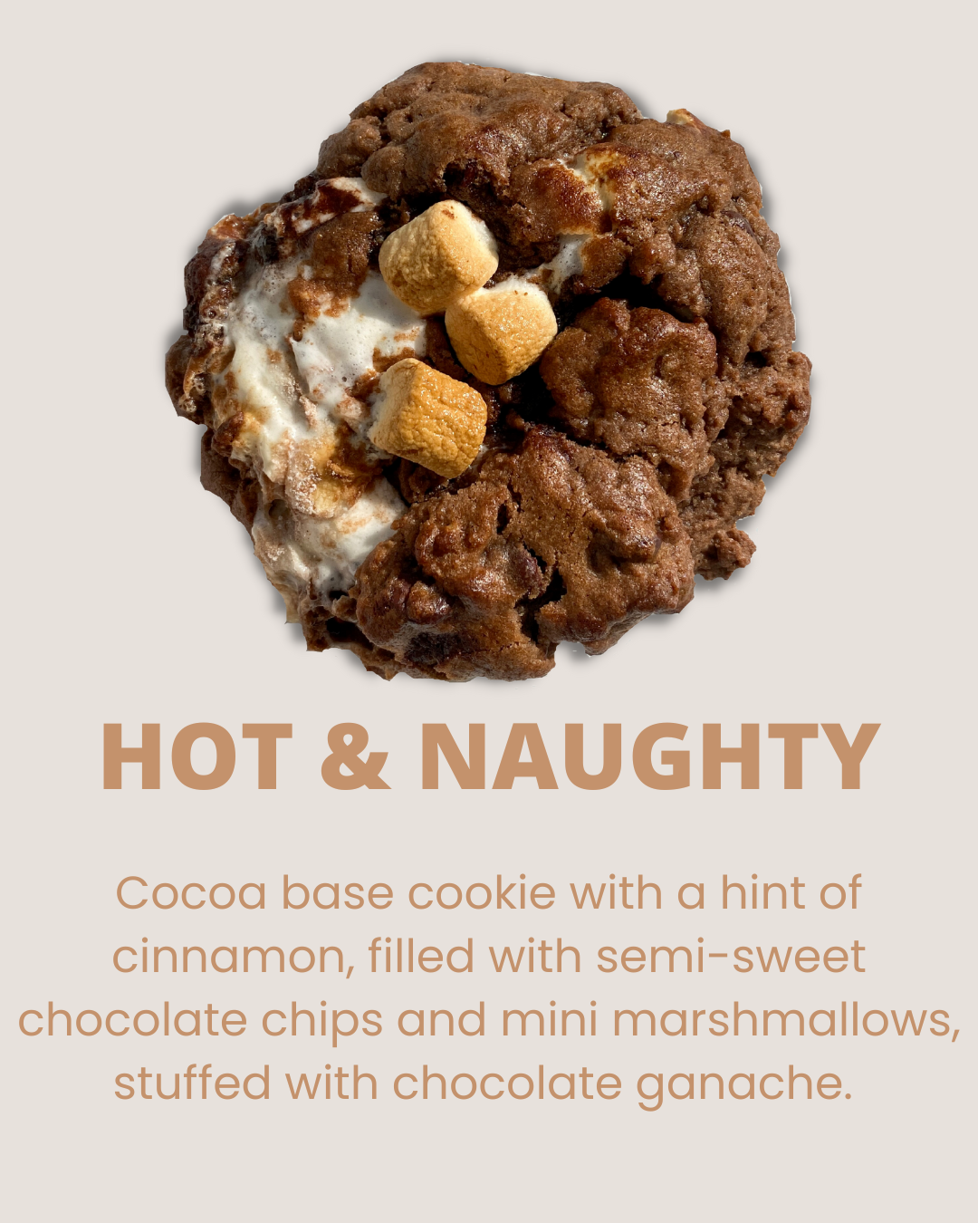 hot chocolate Christmas gift  cookie