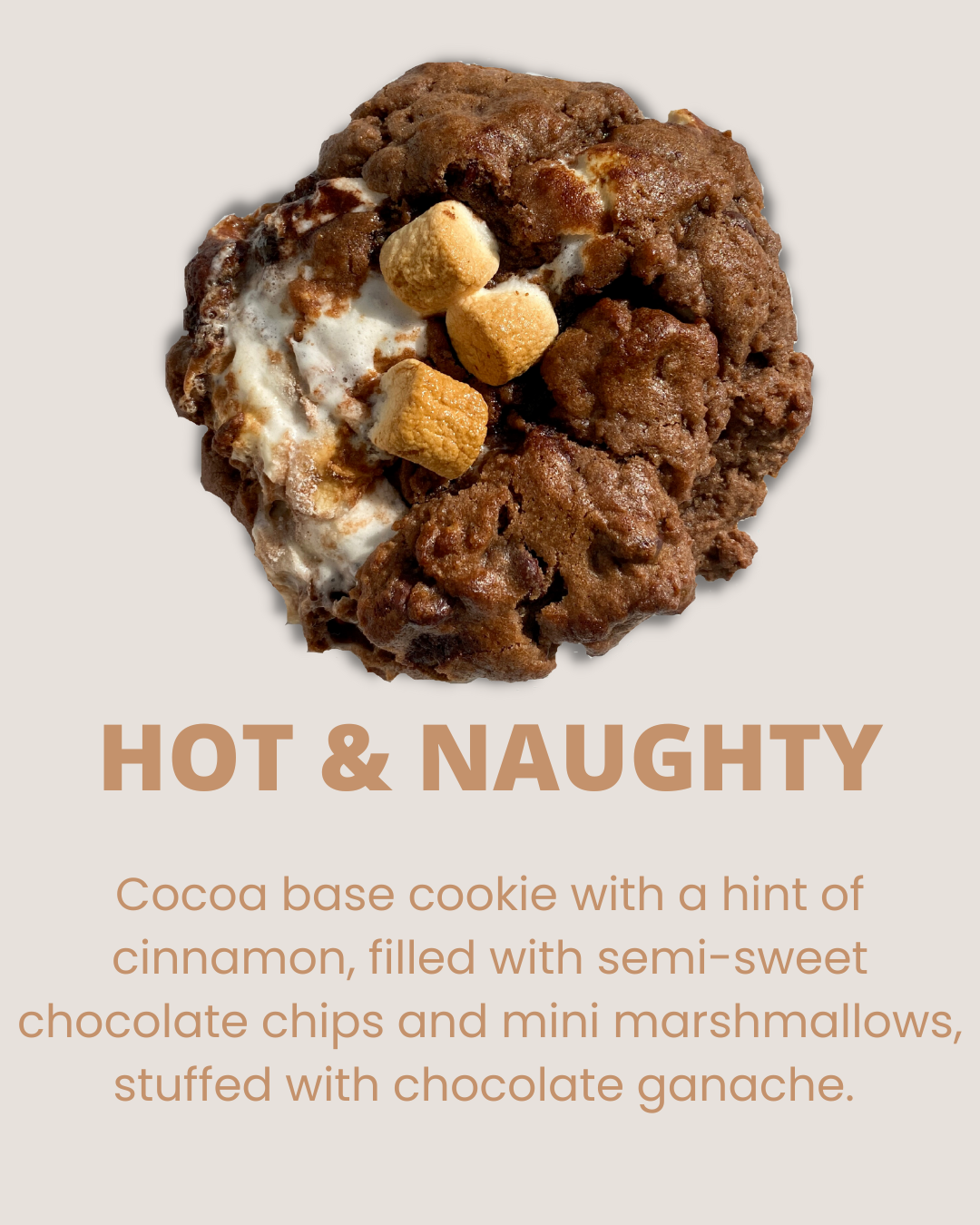 hot chocolate christmas cookie
